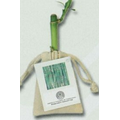 Lucky Bamboo Stalk W/ Printed Hand Tag